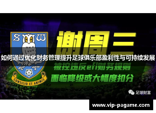 如何通过优化财务管理提升足球俱乐部盈利性与可持续发展