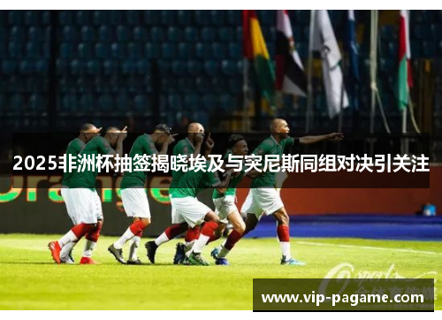 2025非洲杯抽签揭晓埃及与突尼斯同组对决引关注