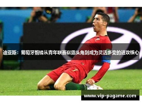 迪亚斯：葡萄牙前锋从青年联赛崭露头角到成为灵活多变的进攻核心